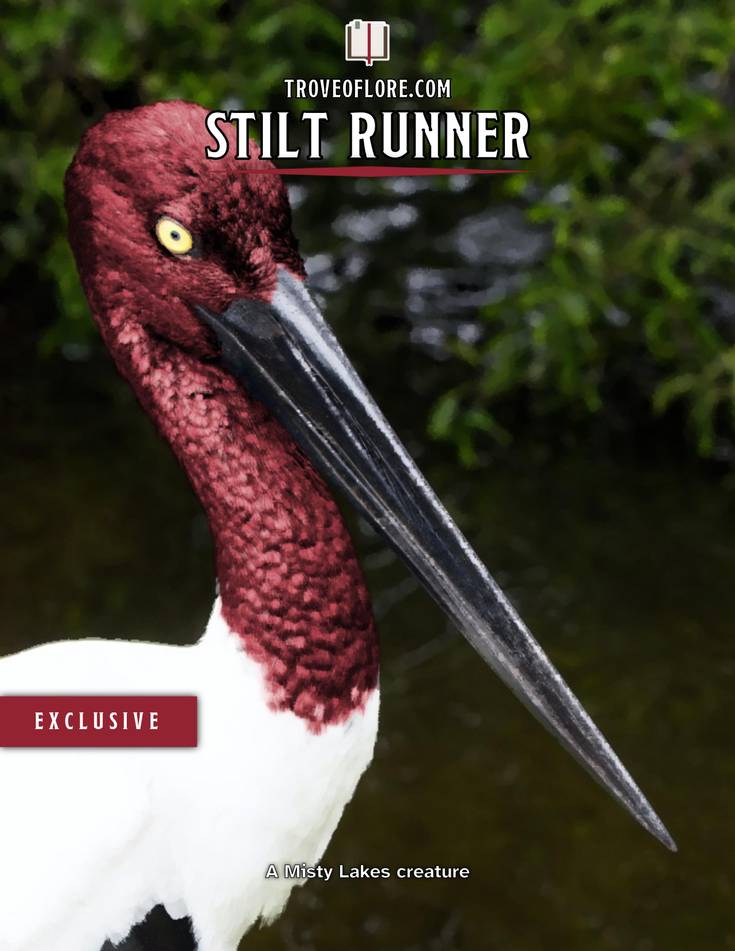 The cover for: Stilt Runner — A Misty Lakes creature.