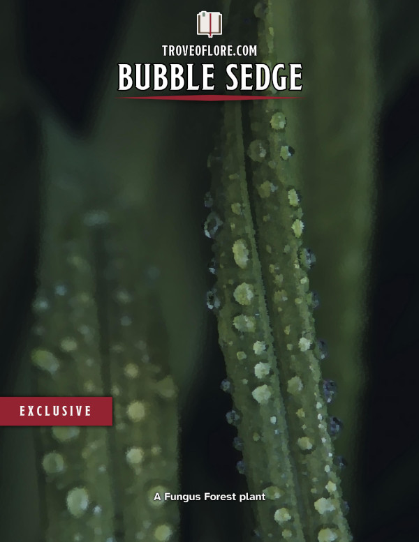 The cover for: Bubble Sedge — A Fungus Forest plant.