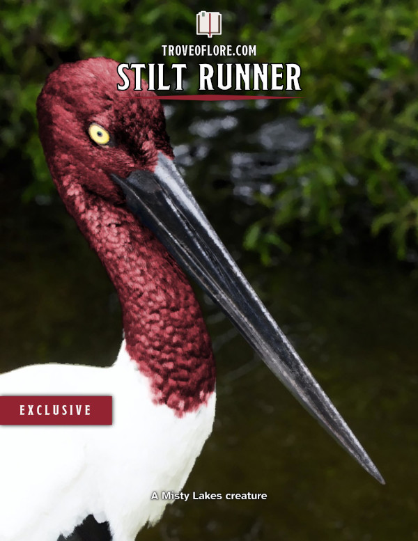 The cover for: Stilt Runner — A Misty Lakes creature.